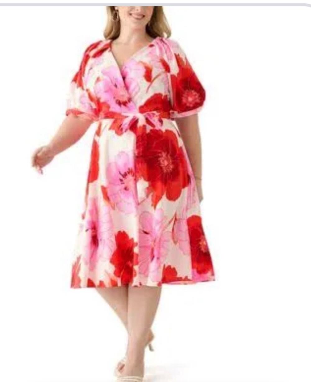 NWT Maison Tara Floral Dress